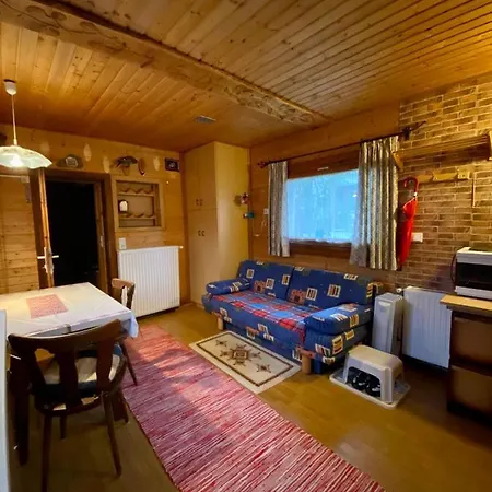 Hutte Andrea Flachau